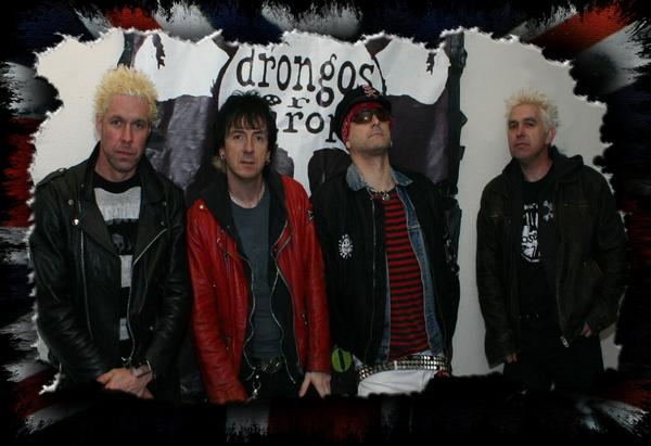 drongos for europe