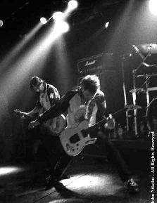 slf live