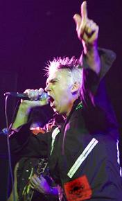 drongos live